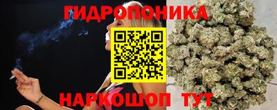 наркотики Славгород