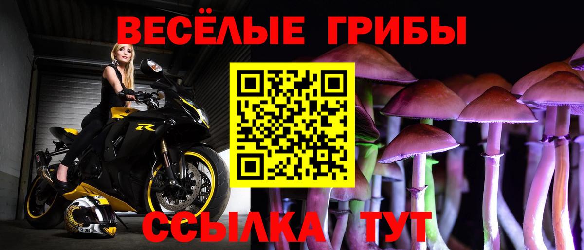 Галлюциногенные грибы Magic Shrooms  Вход с VPN  закладка  Обнинск 