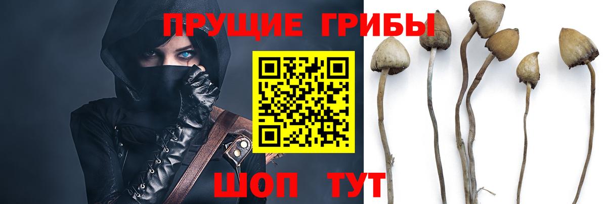  КОКАИН Обнинск